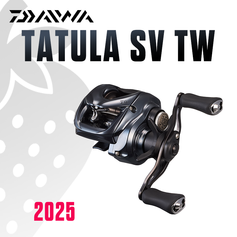 Daiwa Reel Bg - DAIWA 2025 TATULA SV TW100 Fishing