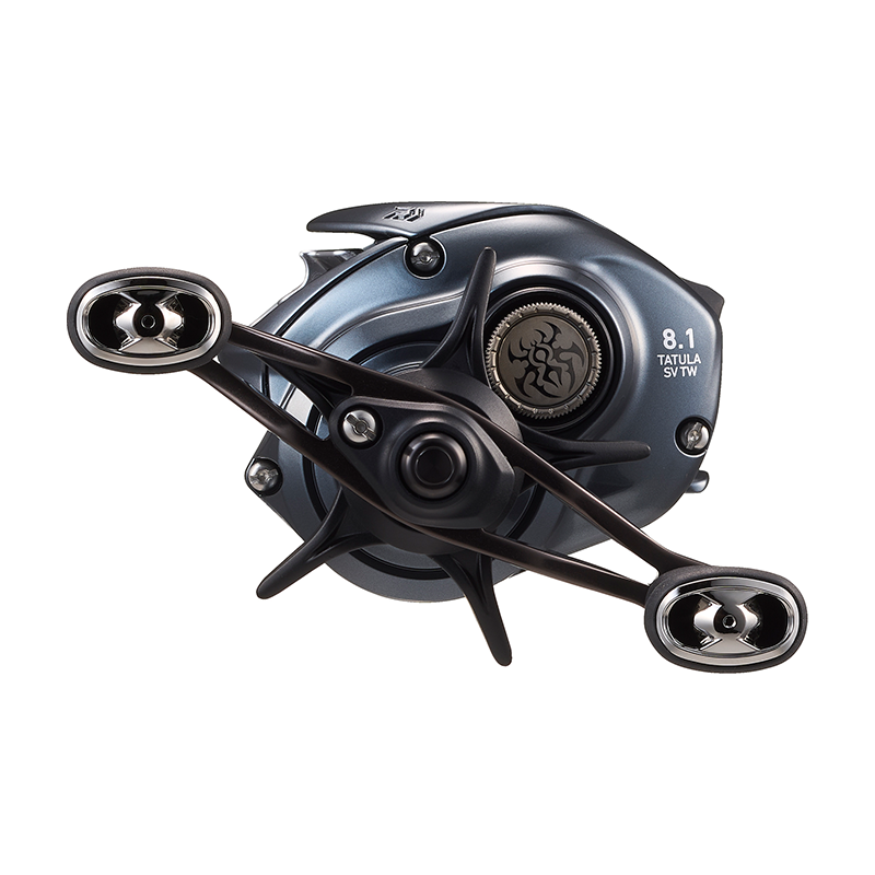 DAIWA 2025 TATULA SV TW100 Fis - Daiwa Reel Bg review and price