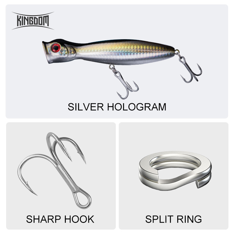Kingdom Floating Popper Fishin - Fishing Lure Topwater review and price
