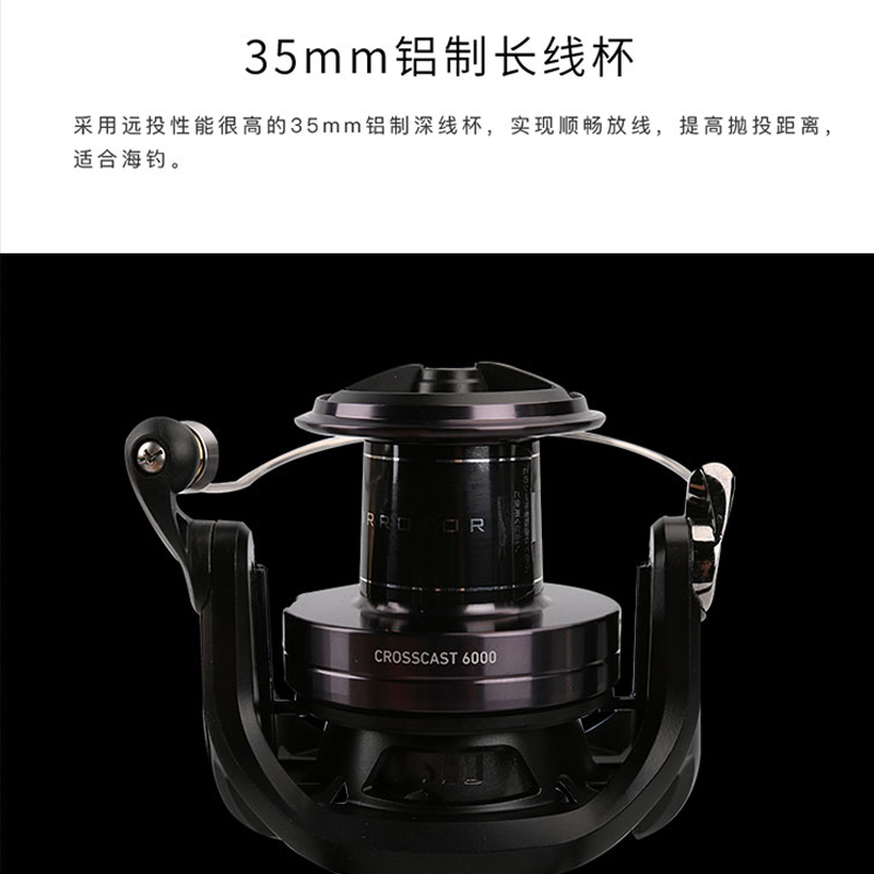 DAIWA CROSSCAST Fishing Reel L - Daiwa Reel Bg review and price